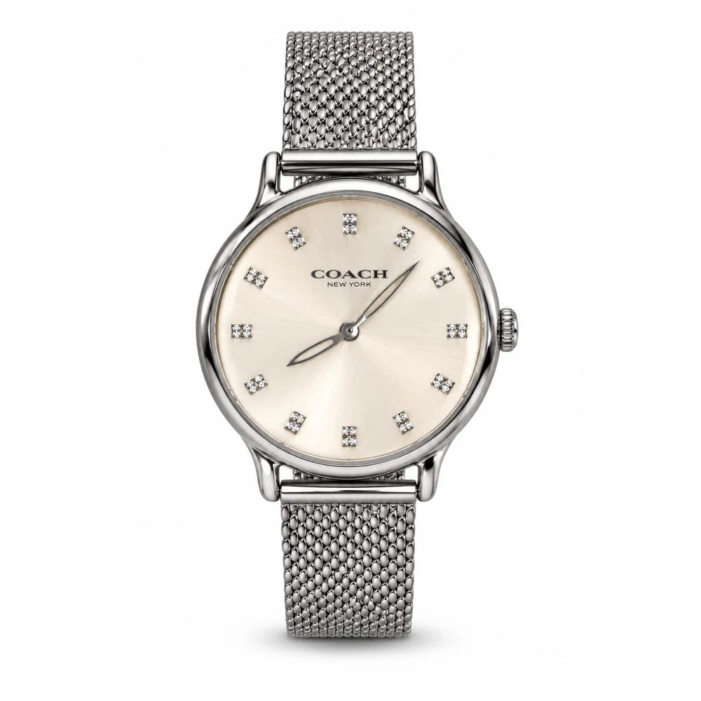 Coach Silver mesh, silver dial