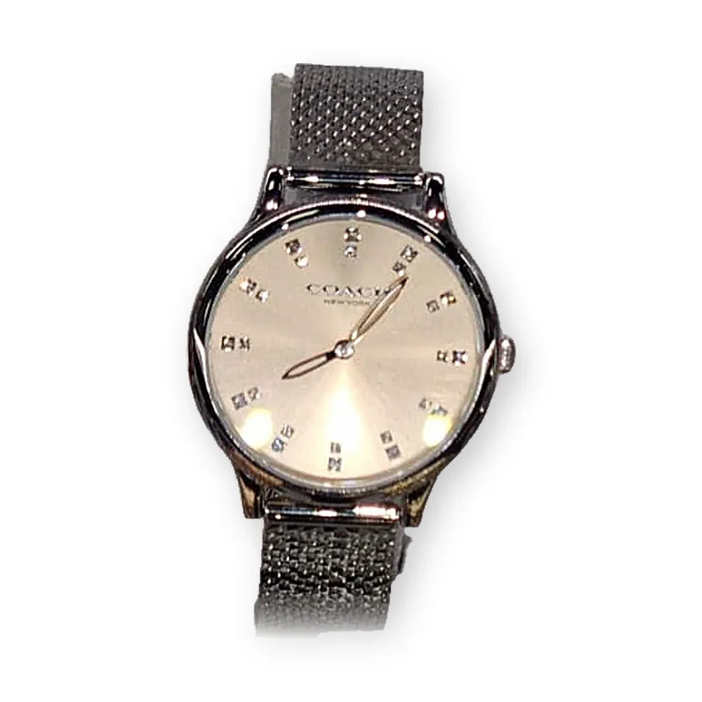Coach Silver mesh, silver dial