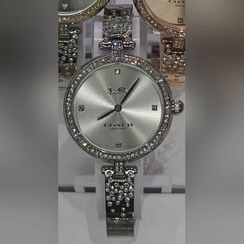 Coach Silver, crystal bezel, silver dial